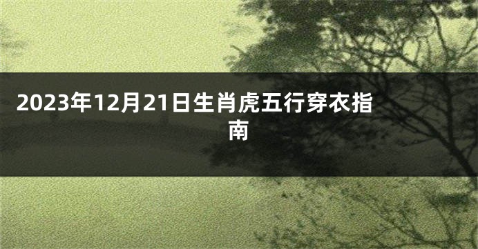 2023年12月21日生肖虎五行穿衣指南