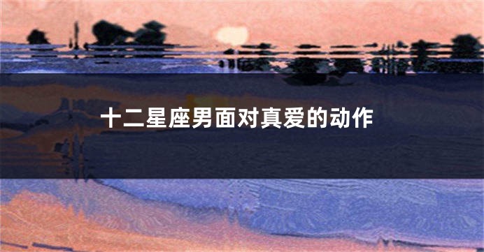 十二星座男面对真爱的动作