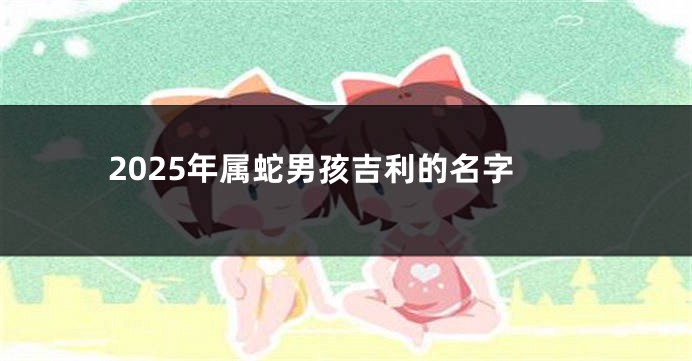 2025年属蛇男孩吉利的名字