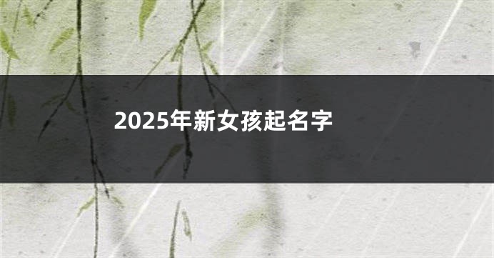 2025年新女孩起名字