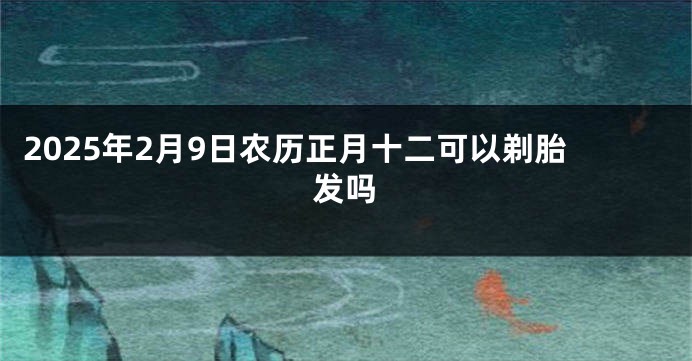 2025年2月9日农历正月十二可以剃胎发吗