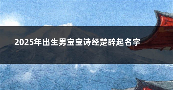 2025年出生男宝宝诗经楚辞起名字