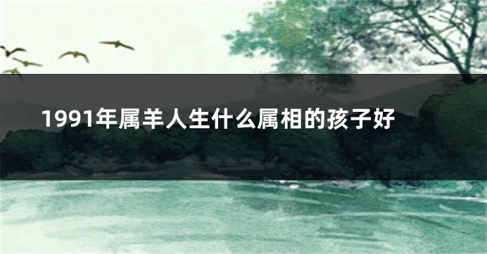 1991年属羊人生什么属相的孩子好
