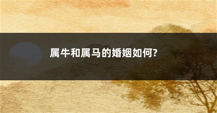 属牛和属马的婚姻如何?