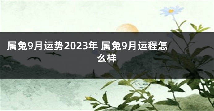 属兔9月运势2023年 属兔9月运程怎么样