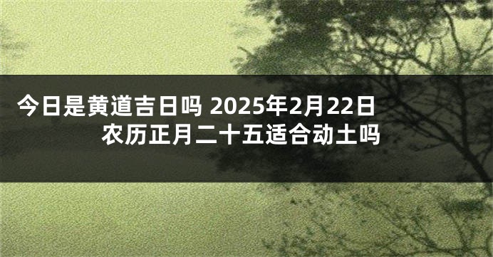 今日是黄道吉日吗 2025年2月22日农历正月二十五适合动土吗