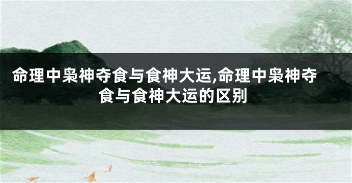 命理中枭神夺食与食神大运,命理中枭神夺食与食神大运的区别