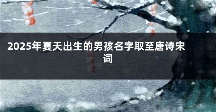 2025年夏天出生的男孩名字取至唐诗宋词