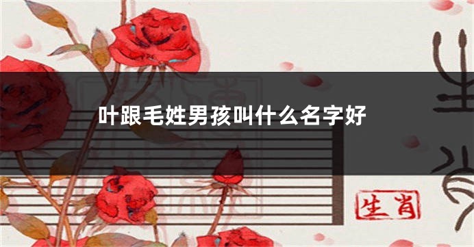 叶跟毛姓男孩叫什么名字好