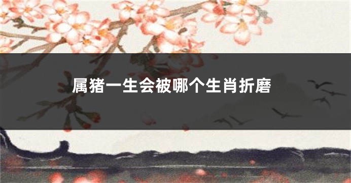 属猪一生会被哪个生肖折磨