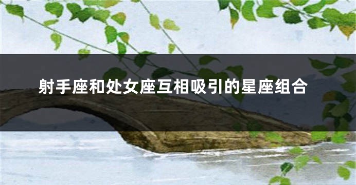 射手座和处女座互相吸引的星座组合