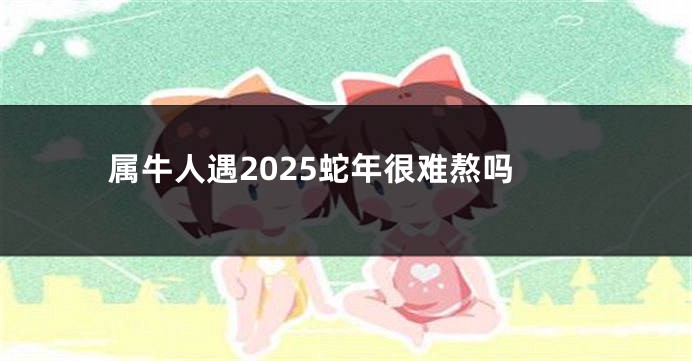 属牛人遇2025蛇年很难熬吗