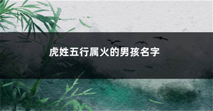 虎姓五行属火的男孩名字