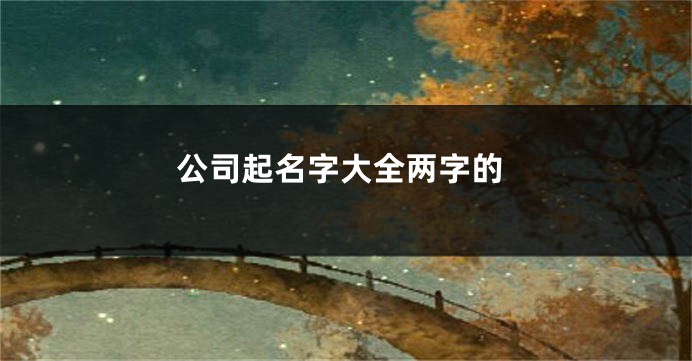 公司起名字大全两字的