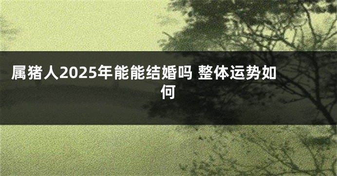 属猪人2025年能能结婚吗 整体运势如何