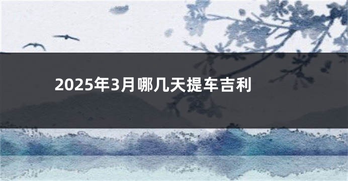 2025年3月哪几天提车吉利