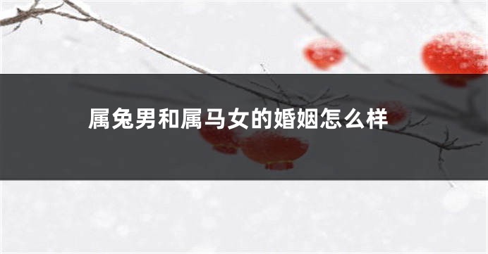 属兔男和属马女的婚姻怎么样