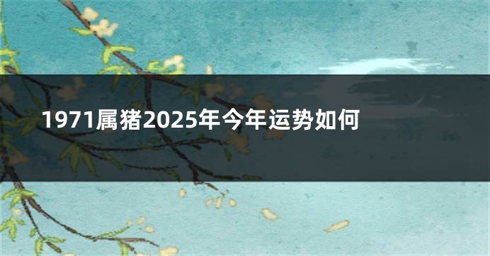 1971属猪2025年今年运势如何