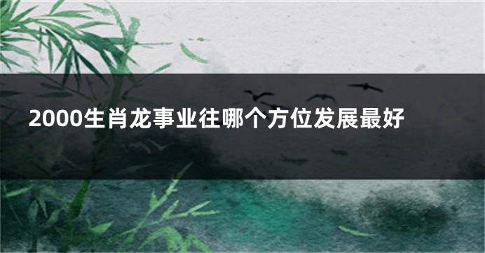 2000生肖龙事业往哪个方位发展最好