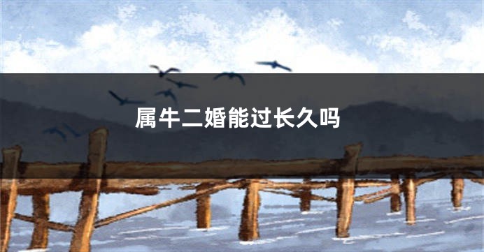属牛二婚能过长久吗