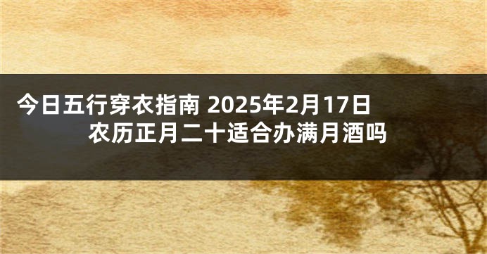 今日五行穿衣指南 2025年2月17日农历正月二十适合办满月酒吗