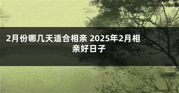 2月份哪几天适合相亲 2025年2月相亲好日子