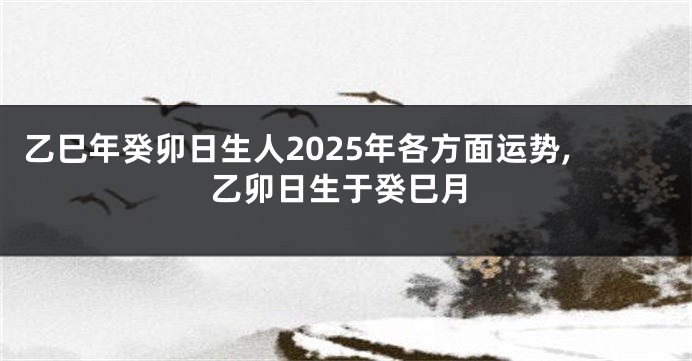 乙巳年癸卯日生人2025年各方面运势,乙卯日生于癸巳月