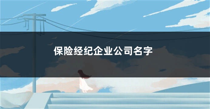 保险经纪企业公司名字