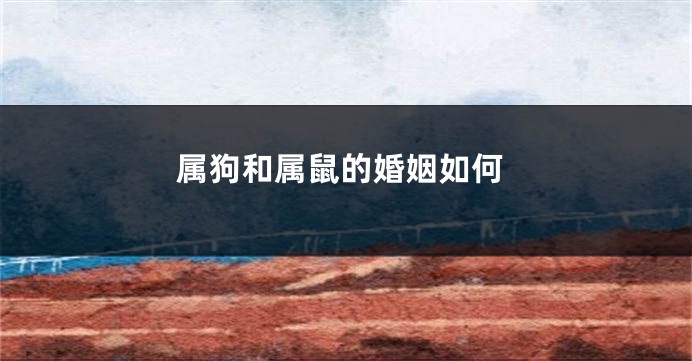 属狗和属鼠的婚姻如何