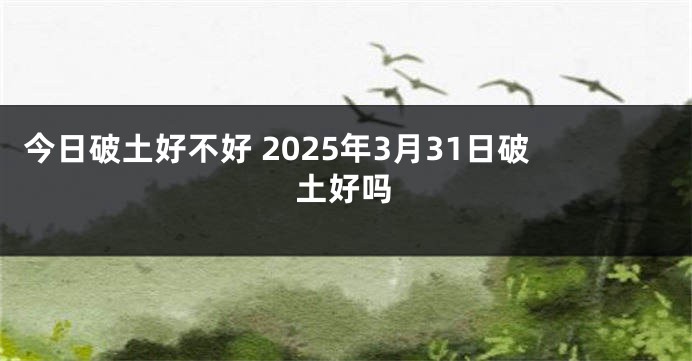 今日破土好不好 2025年3月31日破土好吗