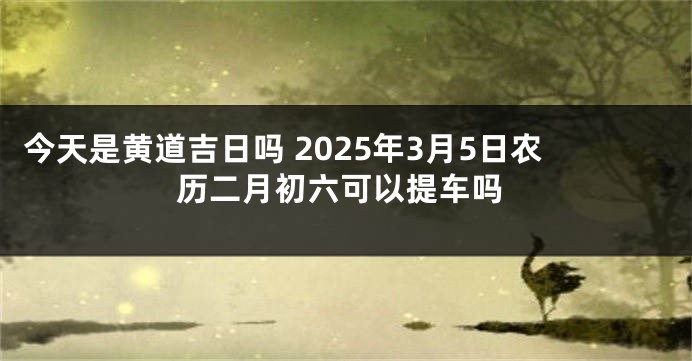 今天是黄道吉日吗 2025年3月5日农历二月初六可以提车吗
