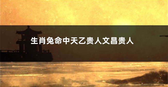 生肖兔命中天乙贵人文昌贵人