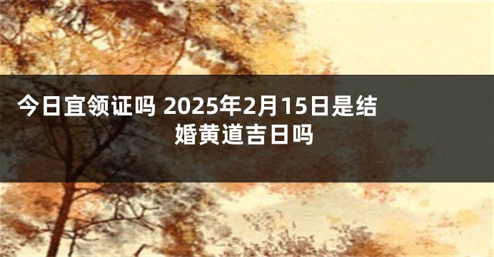 今日宜领证吗 2025年2月15日是结婚黄道吉日吗