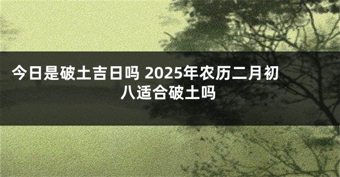 今日是破土吉日吗 2025年农历二月初八适合破土吗