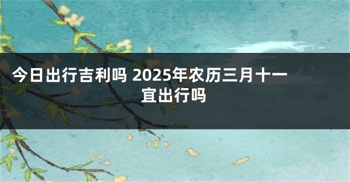 今日出行吉利吗 2025年农历三月十一宜出行吗