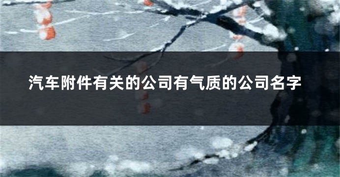 汽车附件有关的公司有气质的公司名字