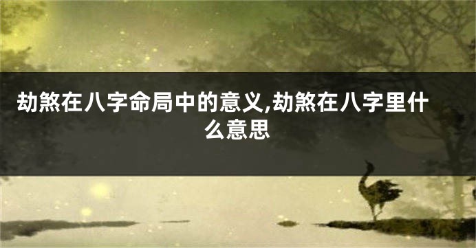 劫煞在八字命局中的意义,劫煞在八字里什么意思