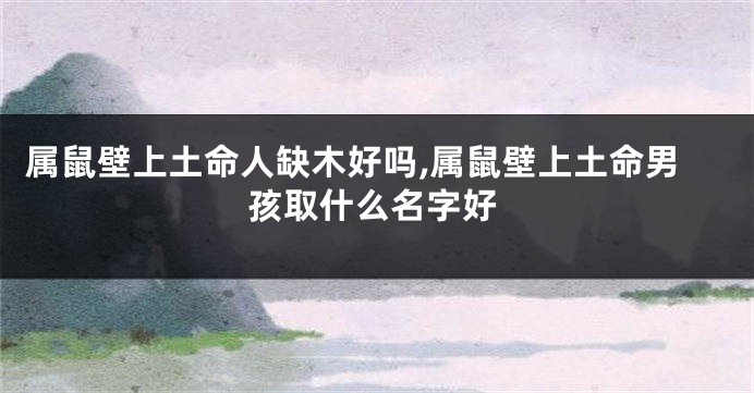 属鼠壁上土命人缺木好吗,属鼠壁上土命男孩取什么名字好