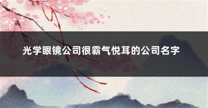 光学眼镜公司很霸气悦耳的公司名字