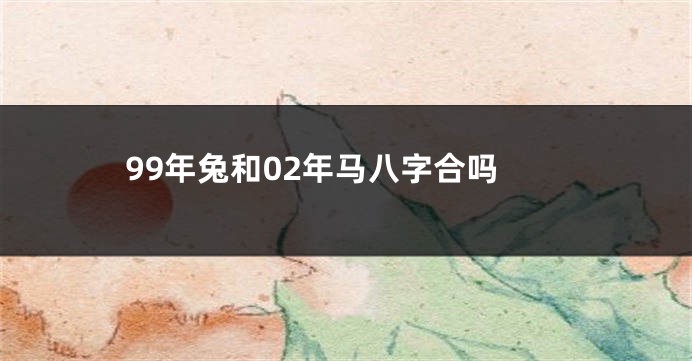 99年兔和02年马八字合吗