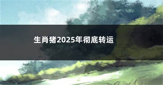 生肖猪2025年彻底转运