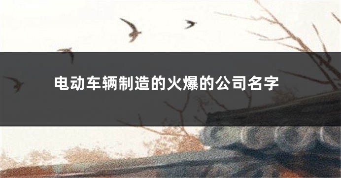 电动车辆制造的火爆的公司名字