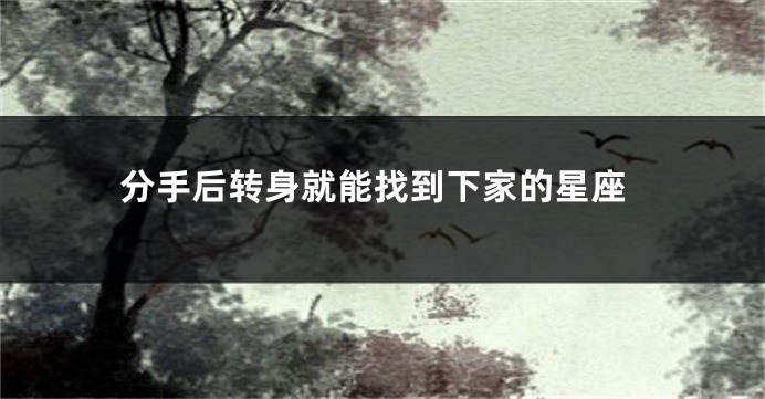 分手后转身就能找到下家的星座