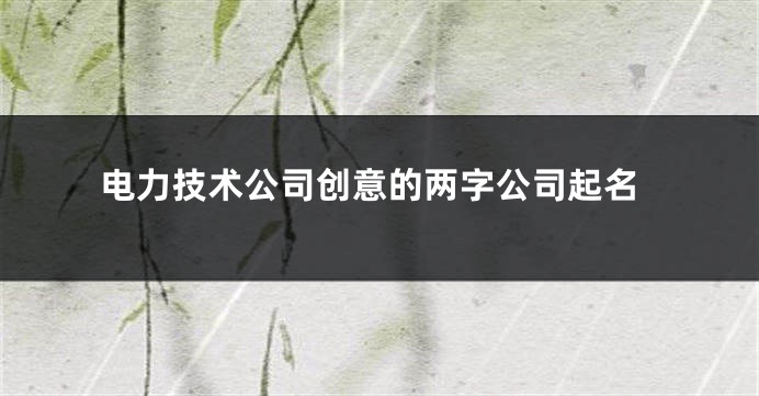 电力技术公司创意的两字公司起名