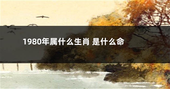 1980年属什么生肖 是什么命