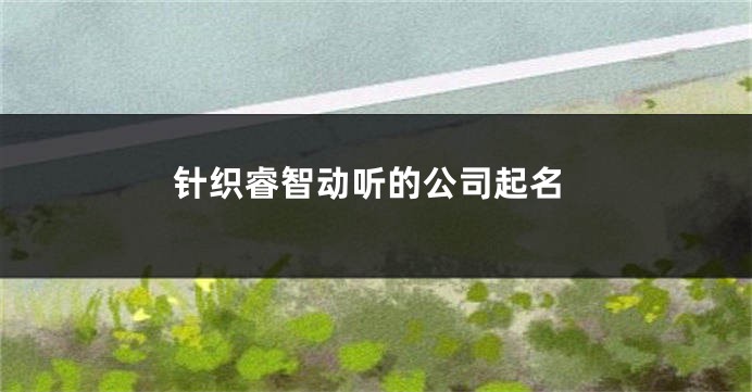 针织睿智动听的公司起名