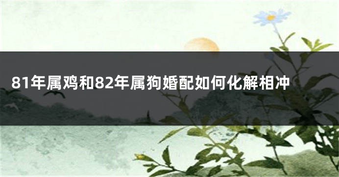81年属鸡和82年属狗婚配如何化解相冲