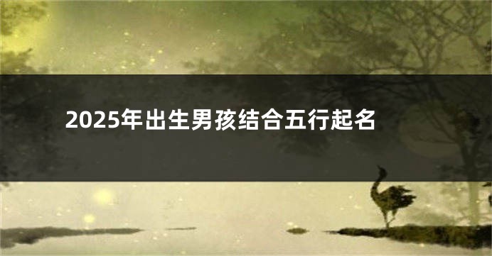 2025年出生男孩结合五行起名