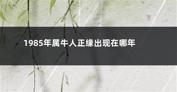 1985年属牛人正缘出现在哪年