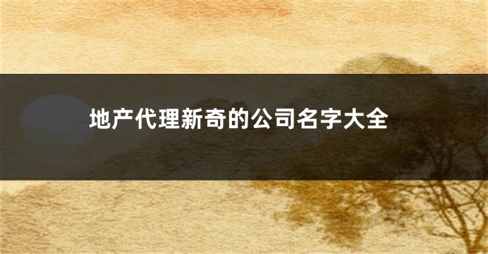 地产代理新奇的公司名字大全